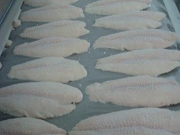 Xuất khẩu cá tra ngày càng giảm