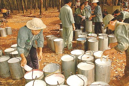 Cơ hội lớn từ cổ phiếu caosu săm lốp